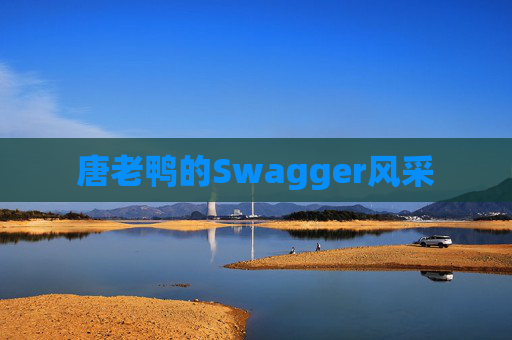 唐老鸭的Swagger风采